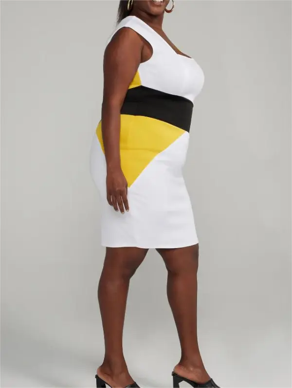 Colorblock Bodycon Dress